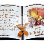 Knjiga V življenju ljubezen